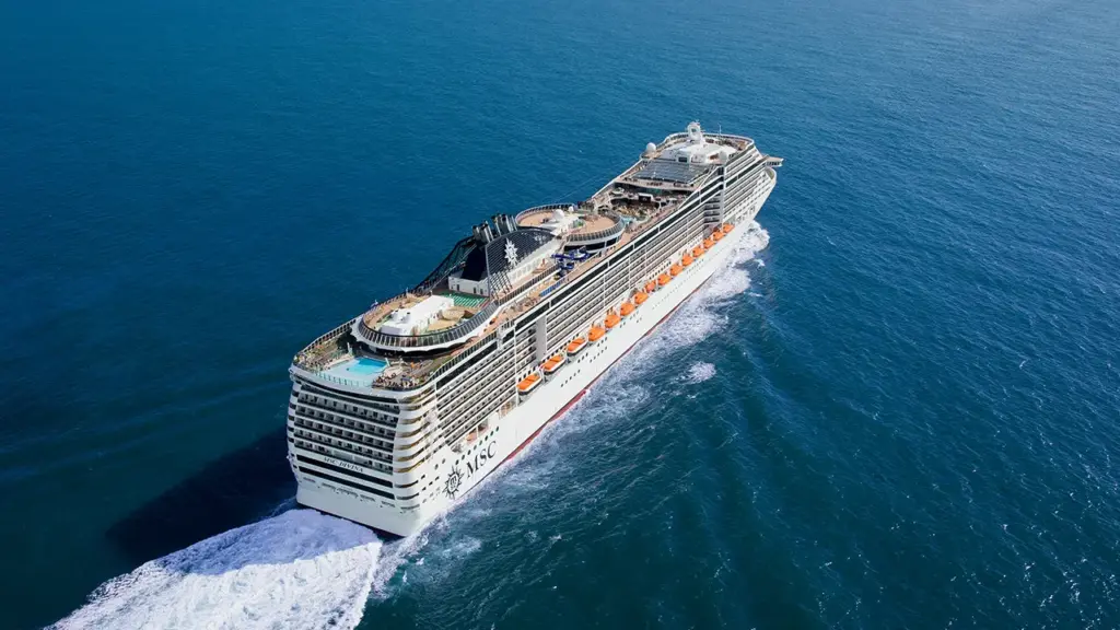 msc divina