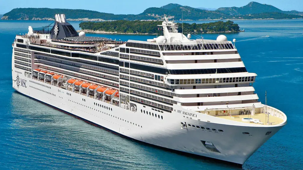 msc magnifica