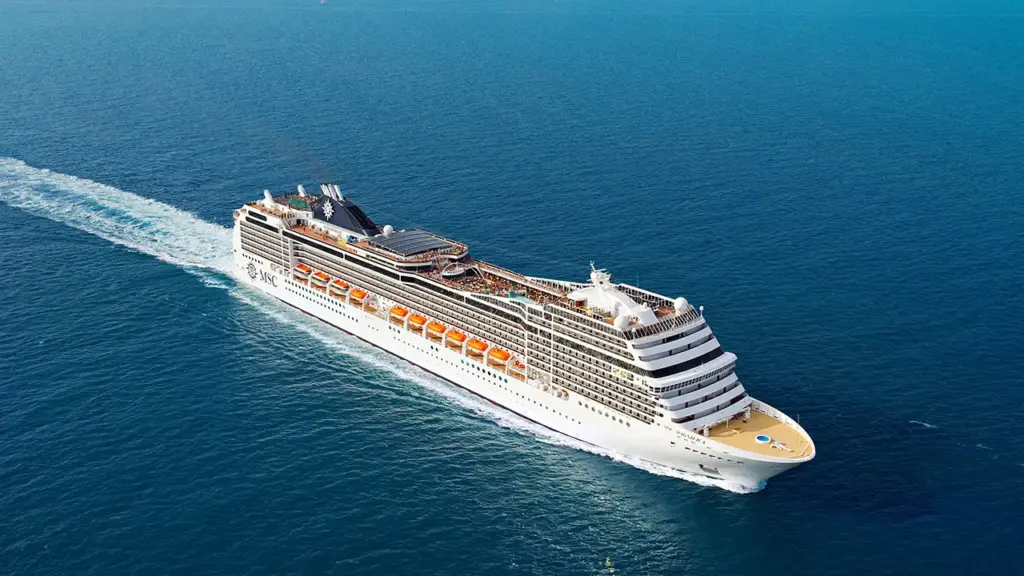 msc magnifica orvani travel